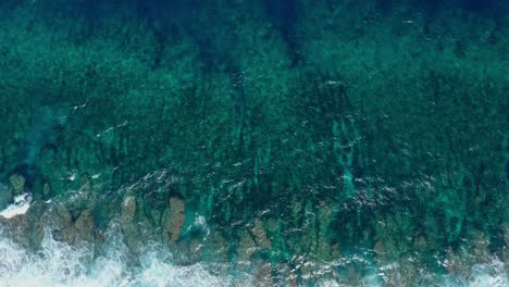 Drohnenaufnahme-Von-Oben-Nach-Unten,-Türkisfarbenes-Tropisches-Meer-Und-Korallenriffe,-Tonga,-Polynesien