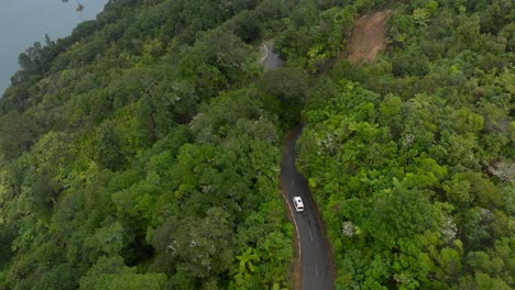 scenic drive on mountain road through dense forest in marlborough sounds, south island, nz