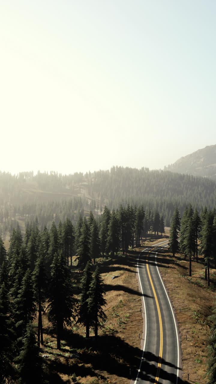 camino del bosque a través de las montañas