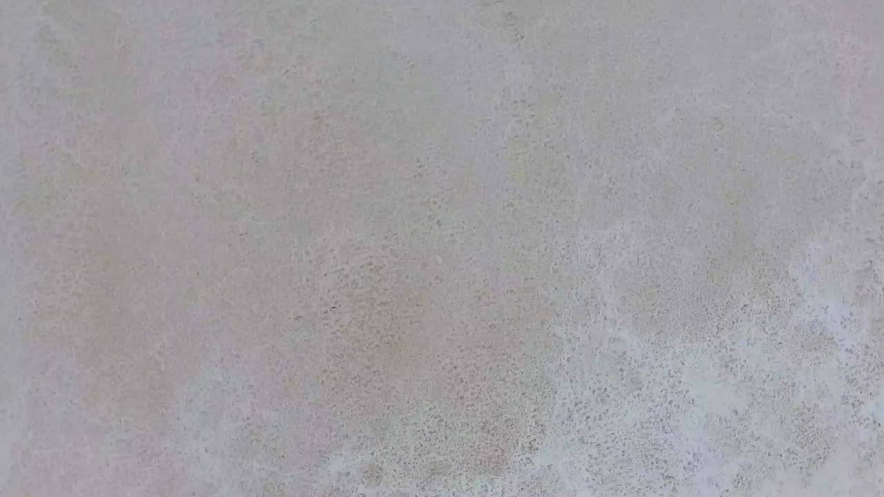 배경에 나무가 있는 멋진 소금 호수로 패닝하는 낮은 각도의 탑 뷰