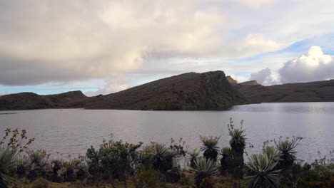 scenic view of frailejones near a high mountain lake surrounded by hills and cloudy sky in páramo ecosystem