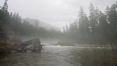 misty river in a pacific northwest forest
