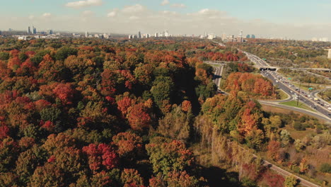 fall colour over don valley parkway toronto ontario canada