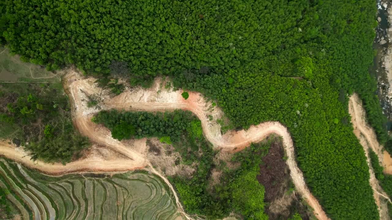 Top-down drone shot of a curvy mountain trail surrounded by forest and rice terraces, ideal for themes of nature, farming, remote access, and eco-tourism.
