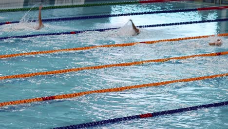 swimmers racing in a pool during a competition