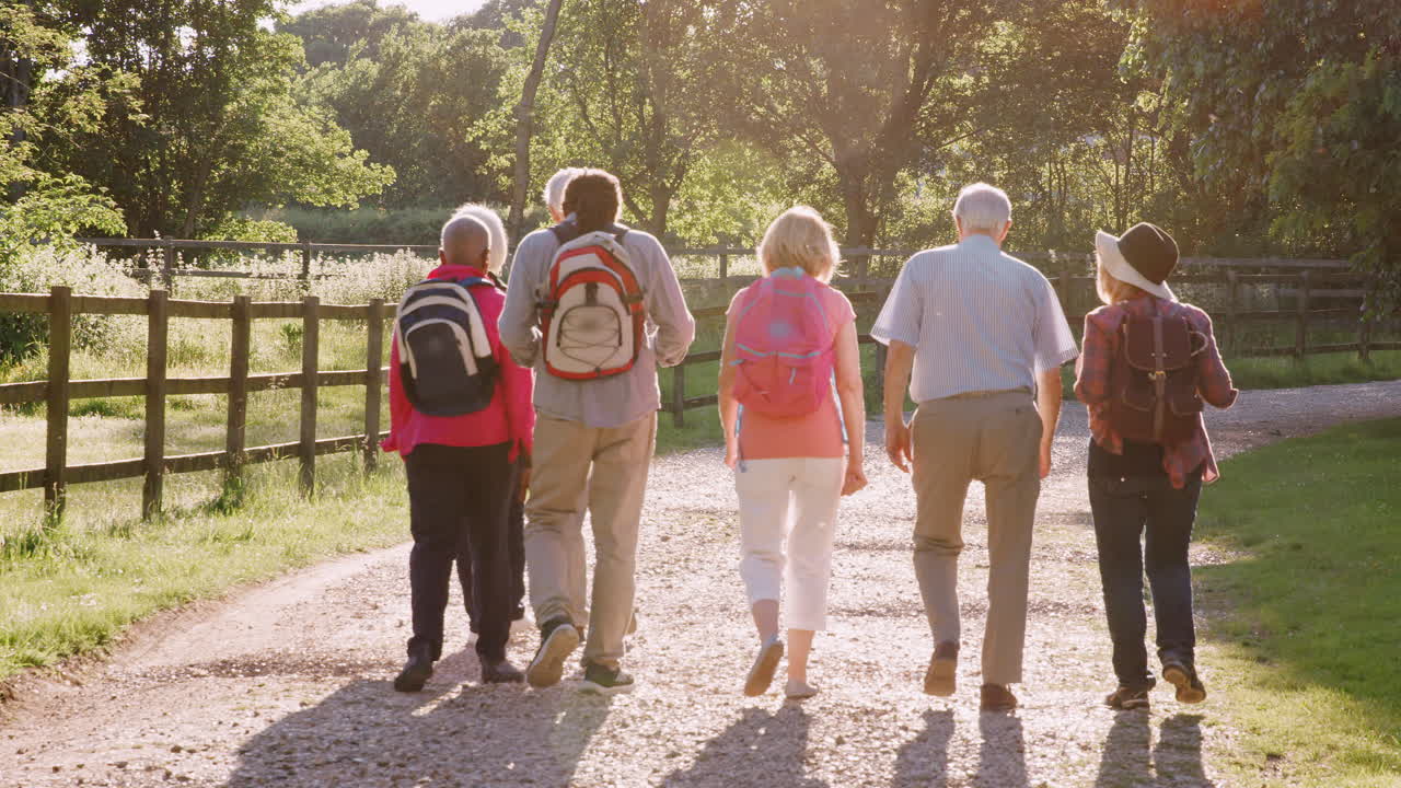 vista trasera de un grupo de amigos mayores haciendo senderismo en el campo