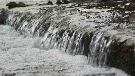 Stream-Cascading-Over-a-Step-Creating-a-Small-Waterfall-at-Cullen-Gardens-Central-Park,-Whitby,-Canada