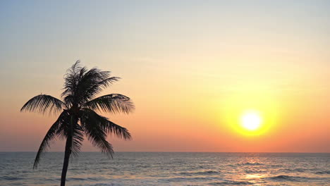 Silueta-De-Palma-De-Coco-Al-Atardecer-Dorado-Sobre-El-Mar