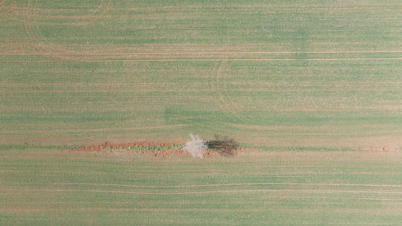 vistas aéreas con drone de un campo en la zona de girona españa paisaje verde naturaleza agricultura ecológica el bronce se desliza hacia la derecha cenital