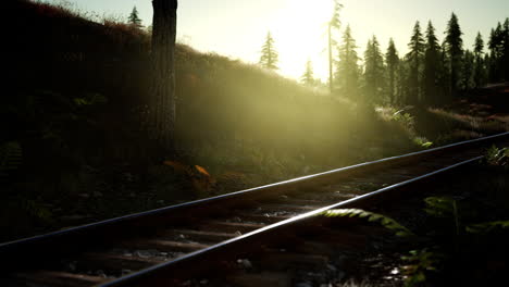 Herbstfarben-Entlang-Einer-Bahnstrecke-Bei-Sonnenuntergang