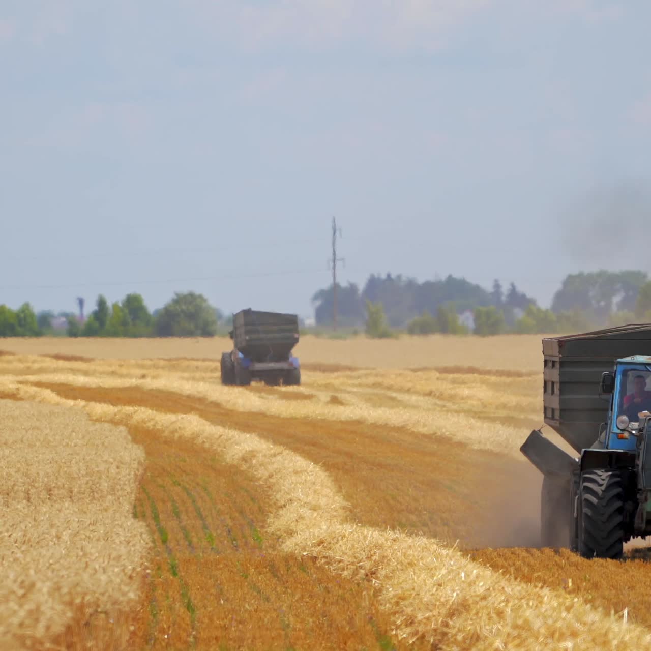 Modern combine harvesting grain