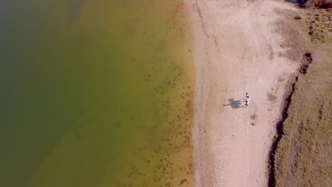 montar a caballo en una playa