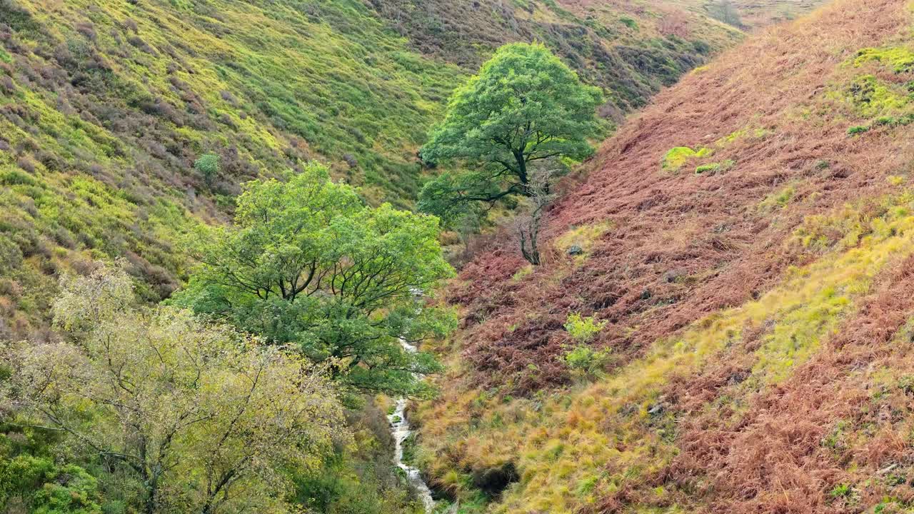 느리게 움직이는 모어랜드 하천은 페닌 모어에서 부드럽게 흐르고, 작은 폭포, 강 및 헤더 인 계곡과 함께 항공 드론 비디오