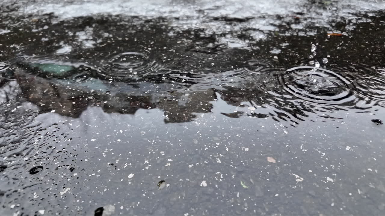 Raindrops hitting a dark asphalt surface, forming circular ripples and reflections during wet winter weather