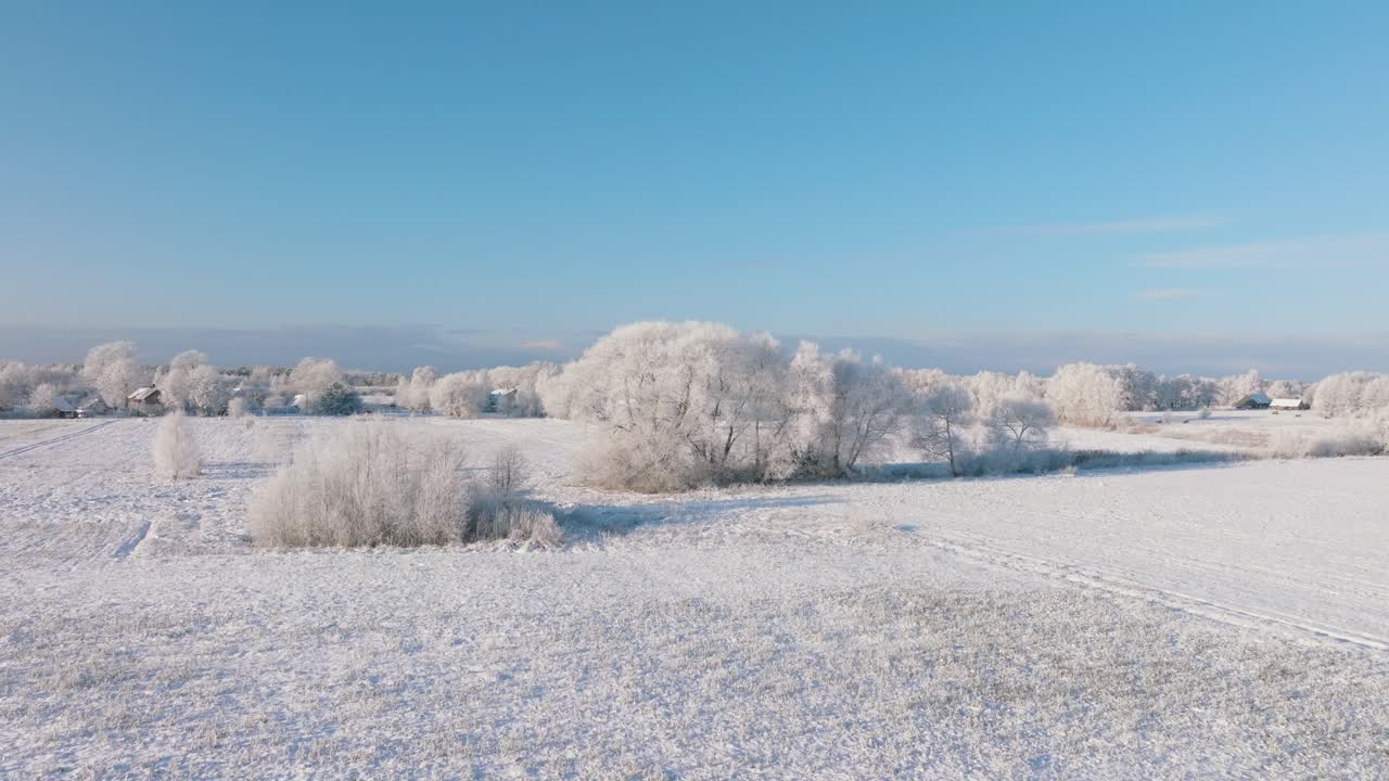 겨울에는 시골 풍경을 공중에서 볼 수 있고, 눈이 덮인 시골 들판과 나무, 추운 날씨, 푸른 하늘이 있는 화창한 겨울날, 넓은 오름차순 드론 샷이 앞으로 이동합니다.