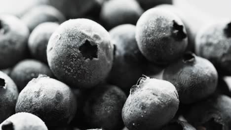 micro video of blueberries with copy space on white background