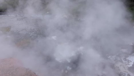 Steam-rising-from-surface-of-a-sulphuric-hot-pool-in-Waimangu-Volcanic-Rift-Valley,-Rotorua,-New-Zealand-Aotearoa