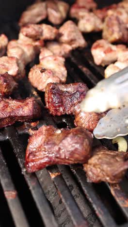 grilled cubes of beef on a grill