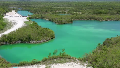 scenic shot in blue lake, cap cana, an ideal place to share with the family, blue water, green vegetation