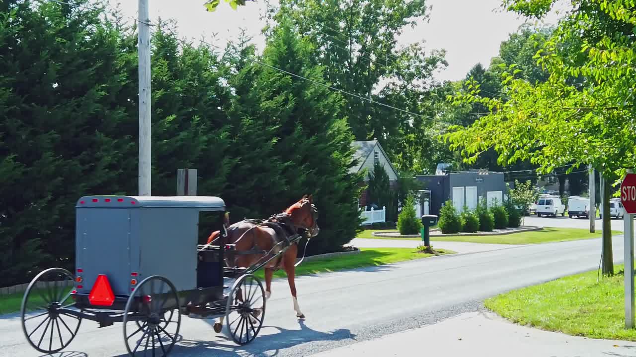 un caballo amish y un buggy trotando en un camino rural en un día soleado en cámara lenta