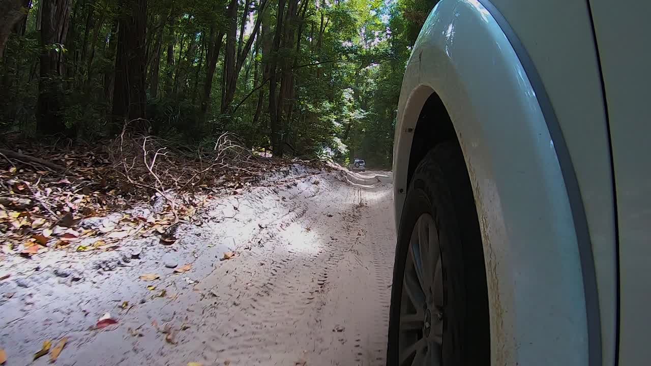 vista de punto de vista más allá de la rueda delantera de un camión todoterreno blanco 4wd desde una cámara montada en el automóvil, mientras rebota a lo largo de un sendero interior arenoso a través de la espeluznante selva tropical con árboles altos y oscuros por todas partes