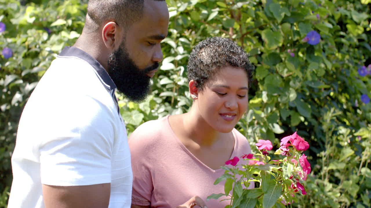 Smiling woman and African american man talking while gardening with pink flowers outdoors