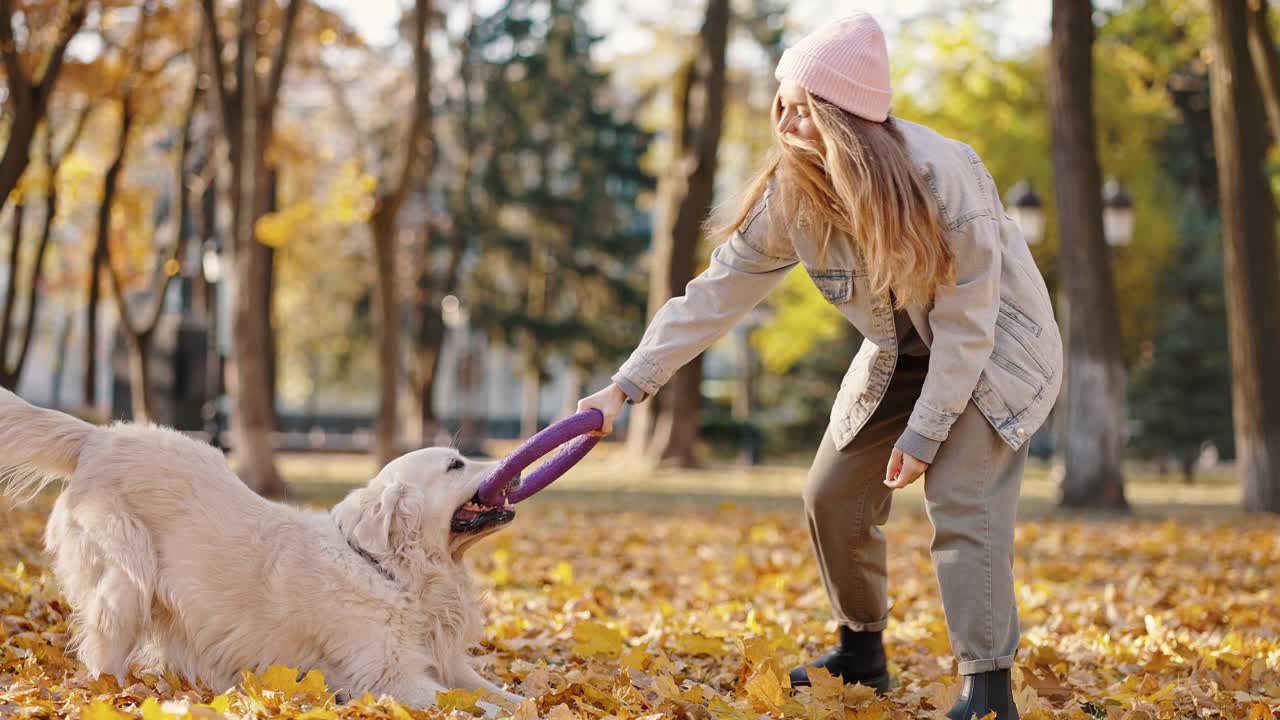 concepto de cinología. joven mujer profesional cinóloga entrenando perro con círculo de goma, jugando con mascota en el parque de otoño