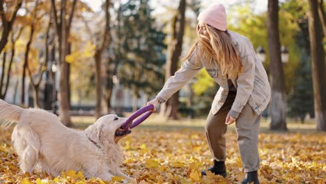 concepto de cinología. joven mujer profesional cinóloga entrenando perro con círculo de goma, jugando con mascota en el parque de otoño