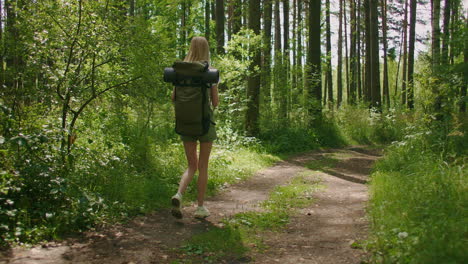 a young female tourist walks through the forest with a backpack and looks at the beauty of nature. tourism and hiking adventures. beautiful slender woman in shorts walking through the woods