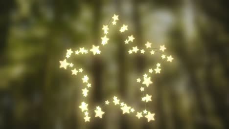 Glowing-star-of-fairy-lights-on-defocused-background