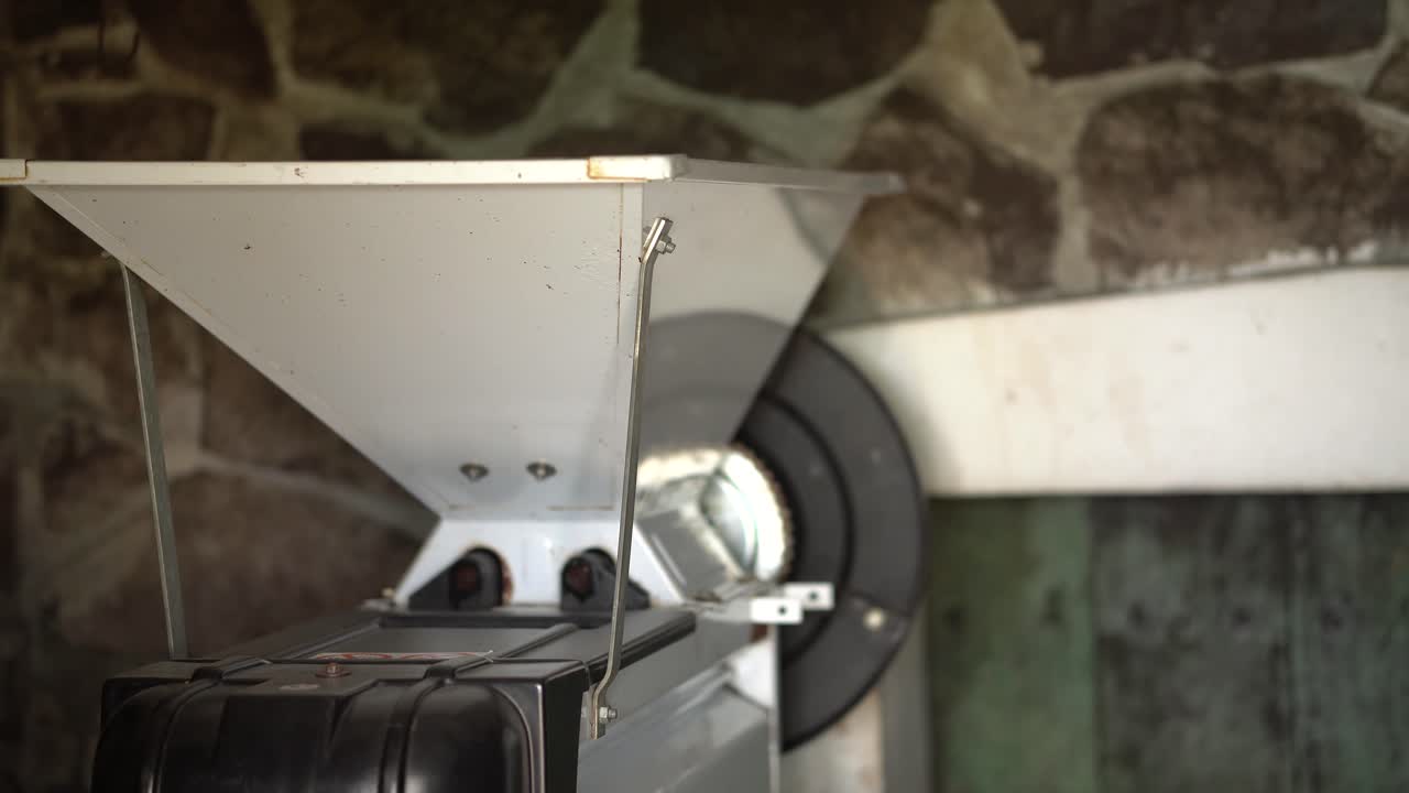 플라스틱 양동이에서 손 포도 분쇄기에 포도를 붓는 나이 든 백인 와인 메이커