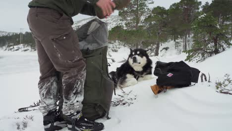 the man, with his dog by his side, is unpacking additional clothes and shoes from his bag during winter in bessaker, trondelag county, norway - close up