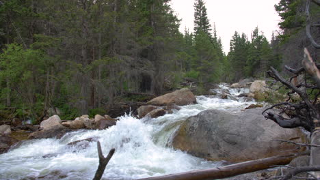 steep river stream with waterfalls and pools in the rocky mountains with trees