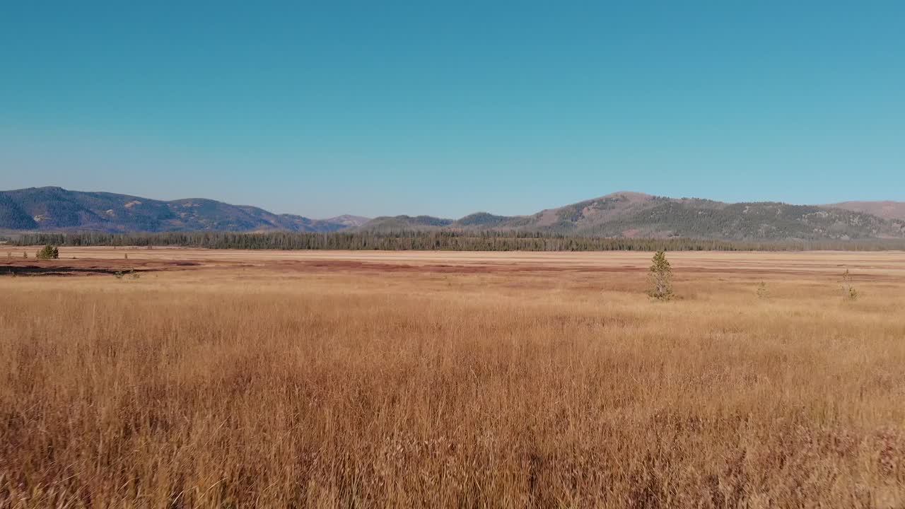 4K Drone fly over open country field in the Sawtooth Mountains, Stanley Idaho