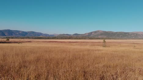 4K-Drone-fly-over-open-country-field-in-the-Sawtooth-Mountains,-Stanley-Idaho