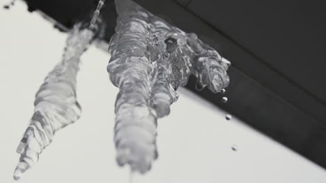 close-up view of icicles