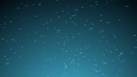 seamless animation of snowflakes. winter christmas animated background