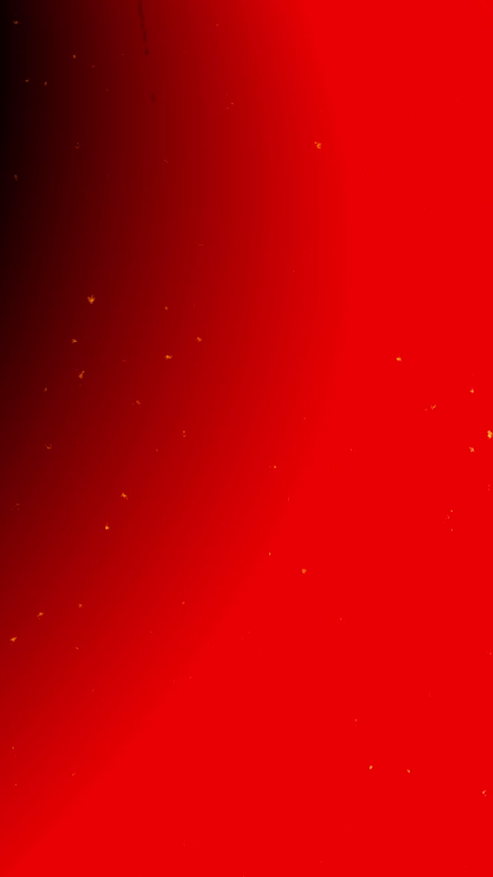Effetto di sovrapposizione dinamico con perdita di luce e grana della pellicola