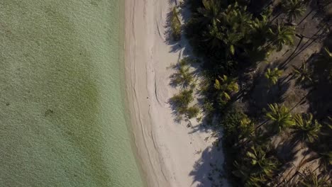 Aerial-drone-shot-of-a-tropical-beach-and-lagoon-with-long-shadows-of-coconut-palm-trees