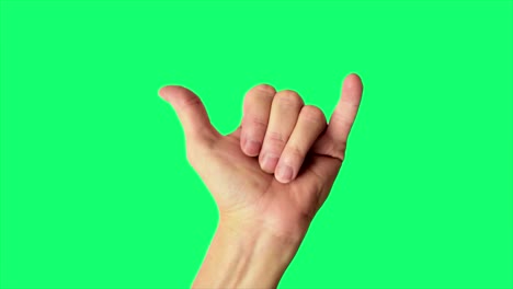 close up shot of a male hand throwing a classic hang loose sign, against a greenscreen background ideal for chroma keying