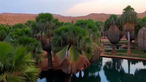 lush palm tree oasis with water in a desert landscape