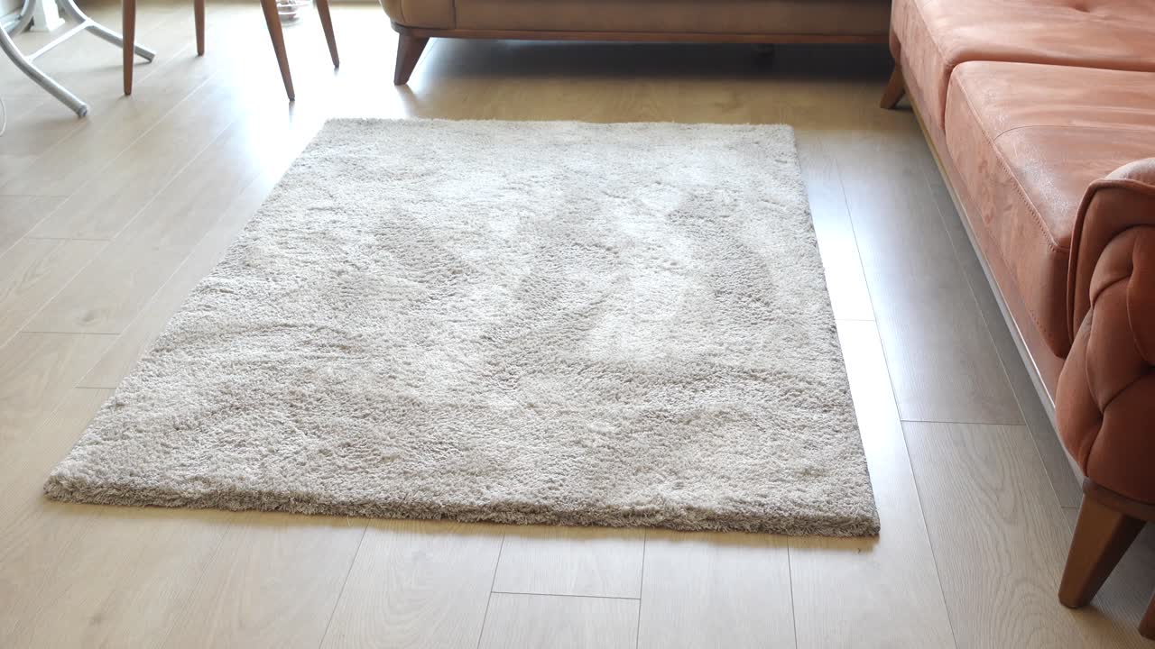 Beige langhåret teppe i en moderne stue.