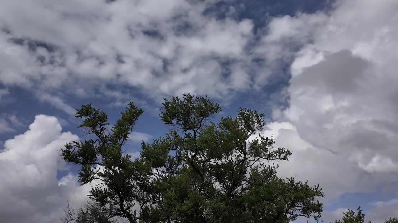 Driving On A Cloudy In Mikumi National Park Near Morogoro, Tanzania, East Africa. POV Shot