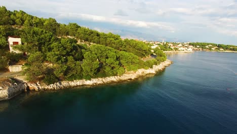 toma aérea de drones de la línea de árboles en la isla de selca brac croacia europa