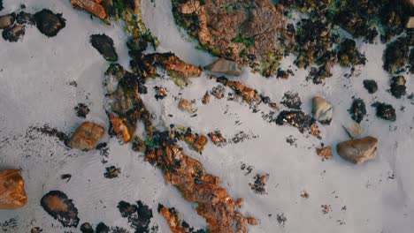 Top-view-aerial-of-Atlantic-ocean-waves-crashing-against-beautiful-natural-red-brown-rocks-at-West-Coast-in-France,-Brittany