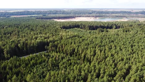 Vuelo-De-Drones-Sobre-El-Verde-Y-Vibrante-Bosque-Lituano-Hacia-Un-Estanque-De-Aguas-Cristalinas