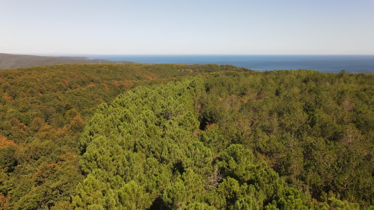 medio ambiente natural