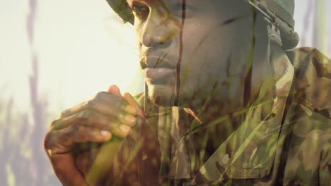 animation of african american soldier in helmet over meadow background