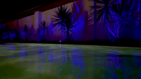 colorful lights reflecting on a tranquil pool