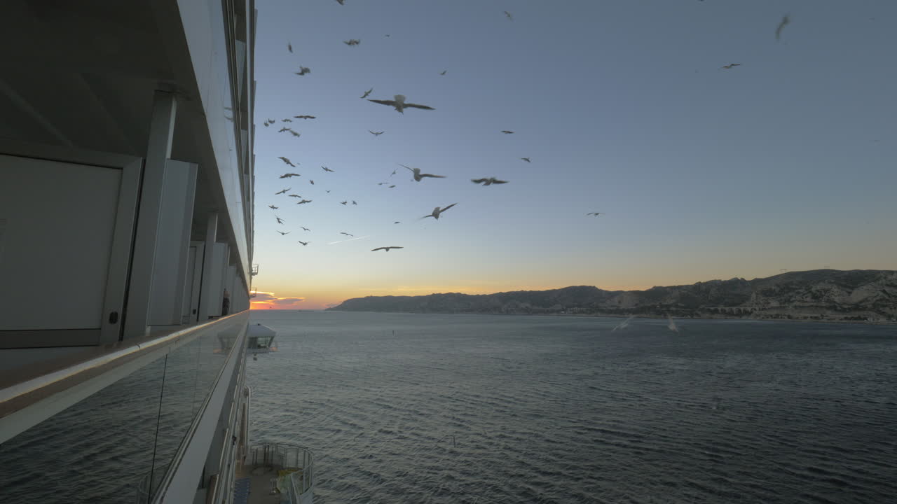 Seagulls and the cruise liner